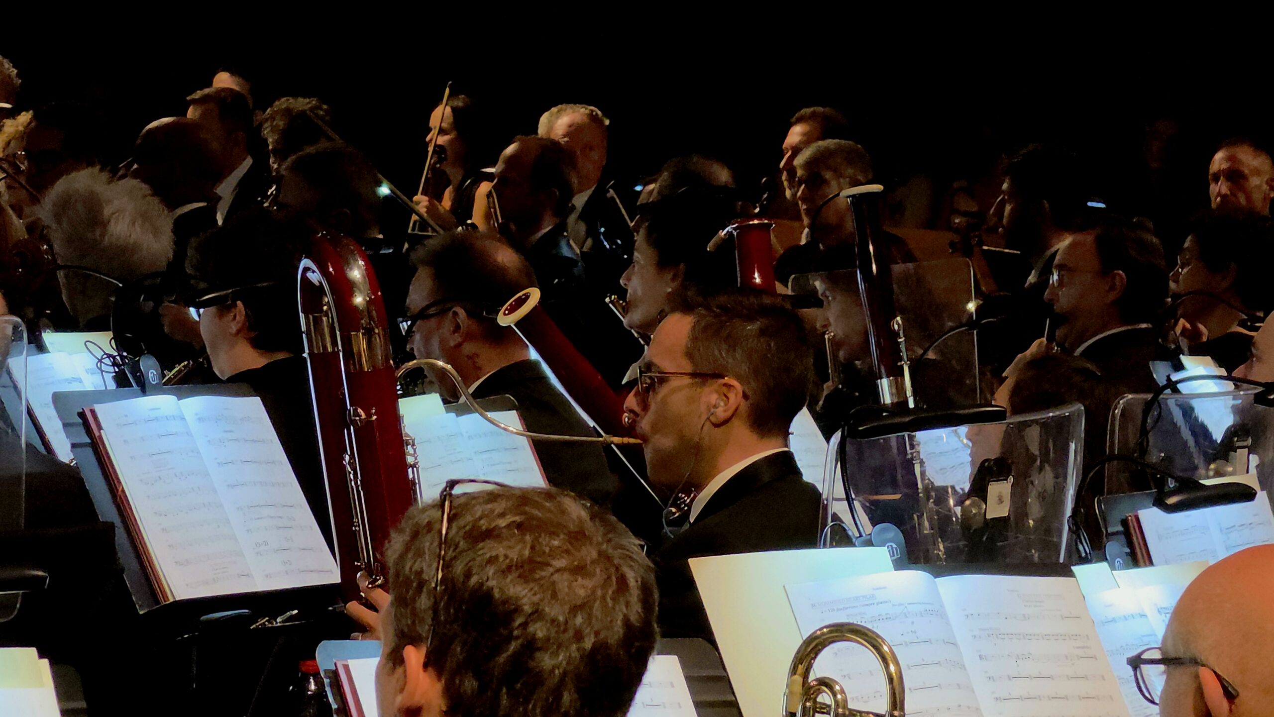 Concierto de la Orquestra de Valencia en la Catedral de Valencia.