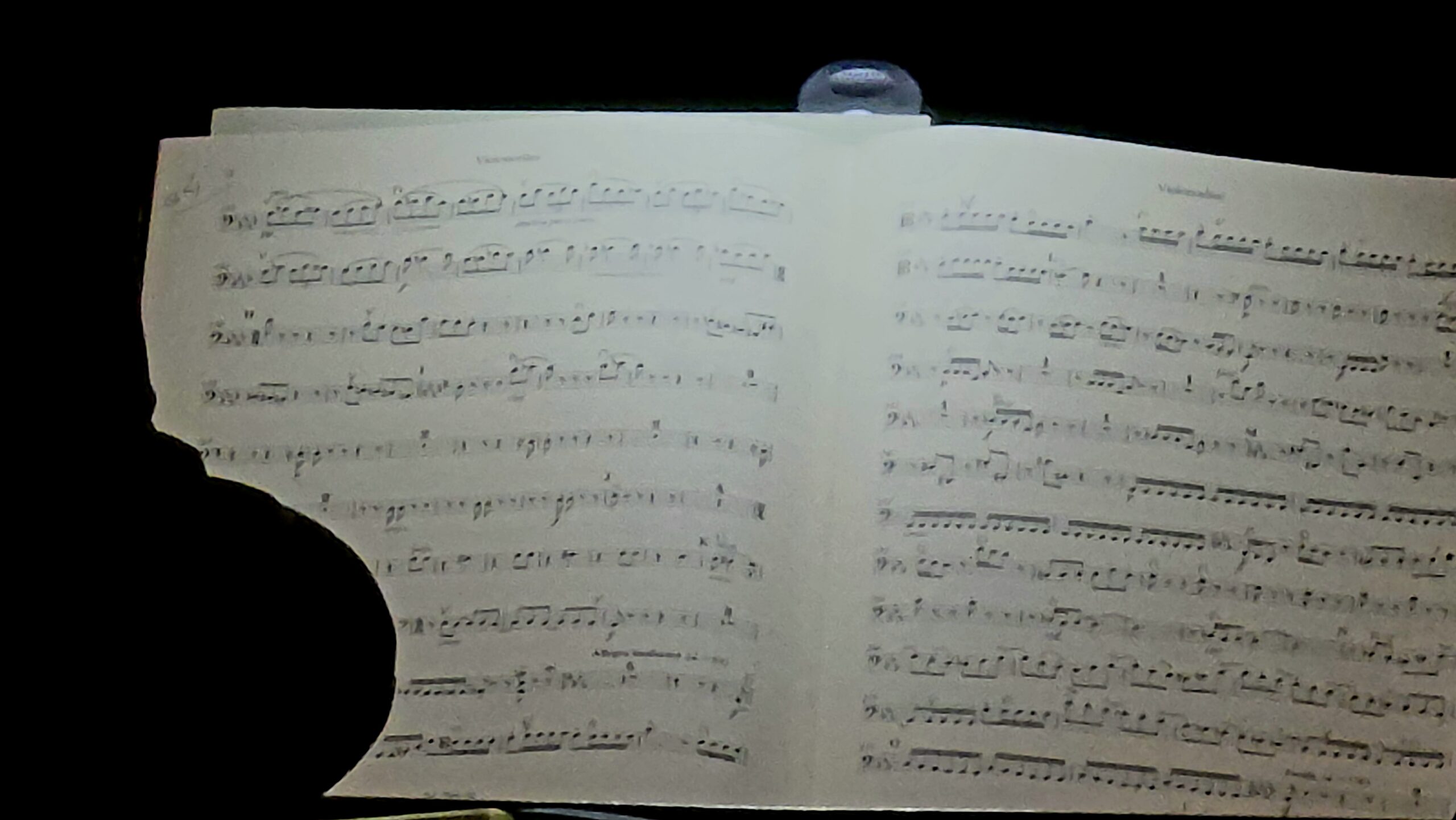 Concierto de la Orquestra de Valencia en la Catedral de Valencia.