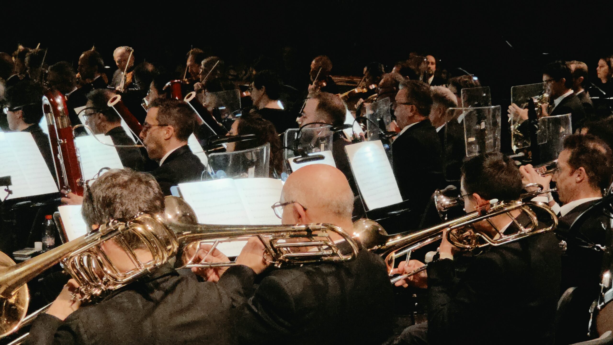 Concierto de la Orquestra de Valencia en la Catedral de Valencia.